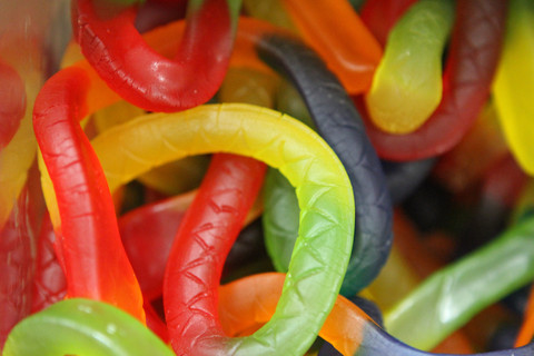 Killer Python shrink size