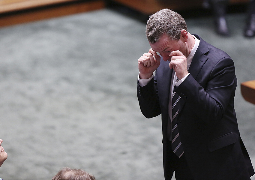 Christopher Pyne in parliament