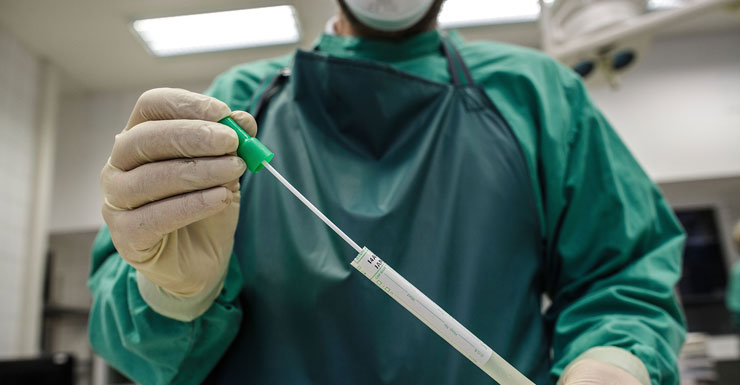 Dutch authorities are investigating outbreak of bird flu.