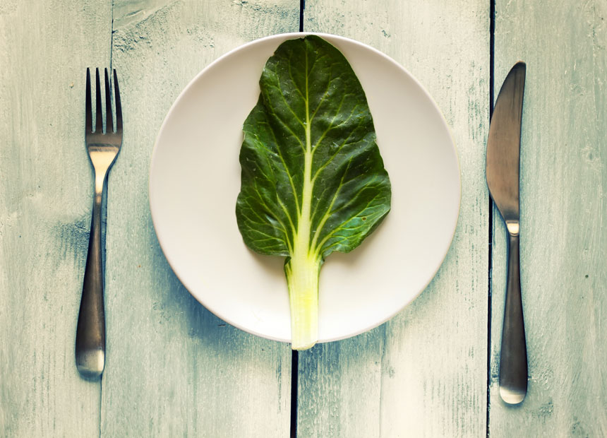 vegetable vegetarian