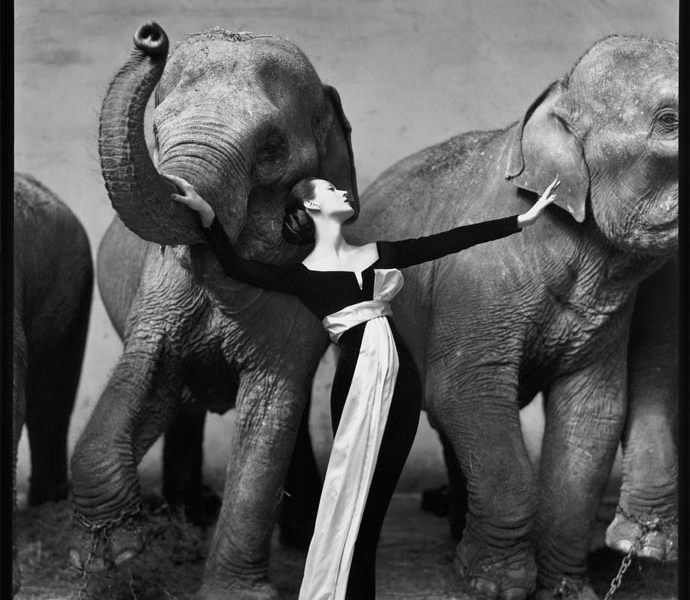 Richard Avedon photographs