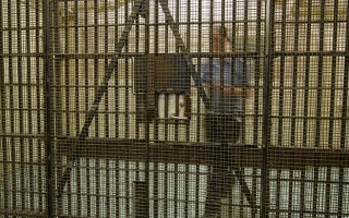 Victorian prisons are the most violent