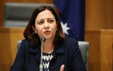 Ms Palaszczuk's personal appeal hasn't been impacted by the infighting.