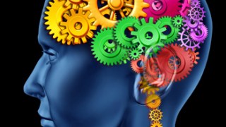 Nootropics speed up the brain's neurotransmitters.