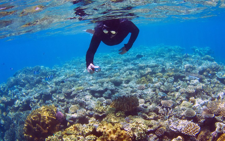 Diver dies at Barrier Reef