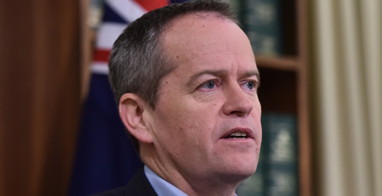 Coalition says someone's out to 'kill Bill' at the moment.