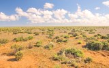 Nullarbor Plain