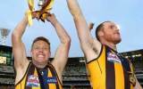 Hawthorn Premiers 2013