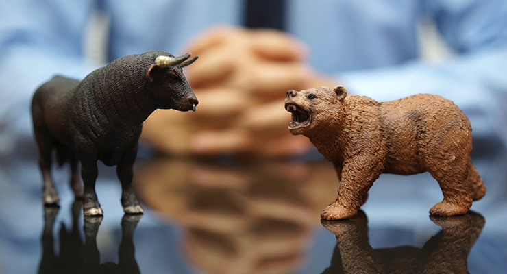Bull and bear shares