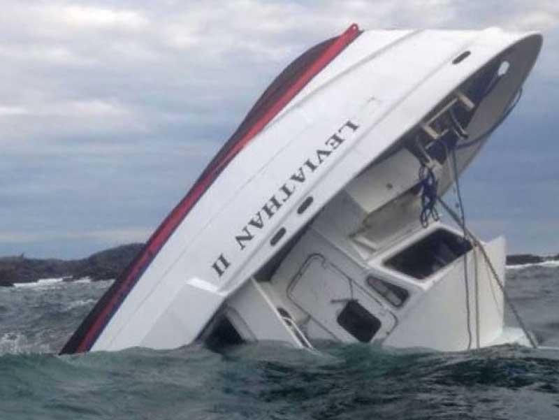Canada whale watching boat sinks