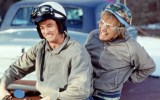 dumb dumber