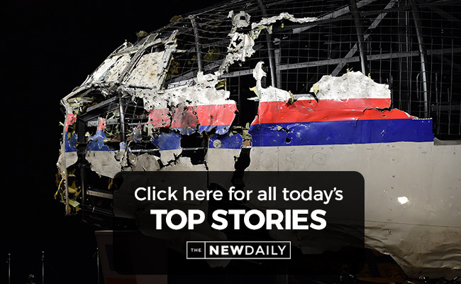 mh17-top-stories