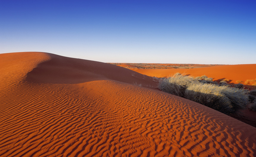 Simpson Desert