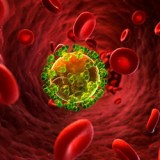 hiv aids virus