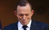 Tony Abbott could have won election