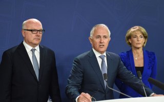 turnbull brandis cash