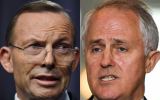 malcolm turnbull and tony abbott