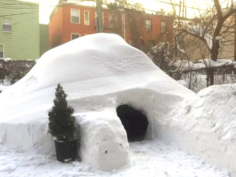 new york igloo
