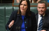 Kelly O'Dwyer faces huge threat from The Greens.