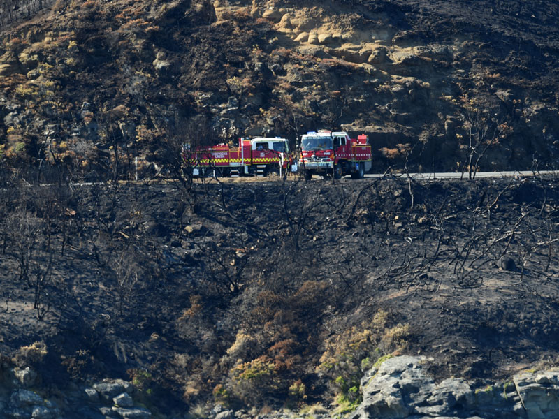 victorian bushfire