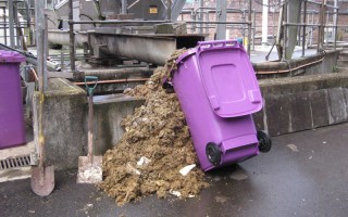 Wipes retrieved from the sewerage system.