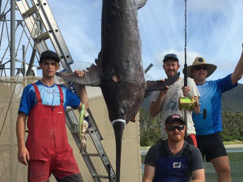 The monster fish weighted more than 200kg.
