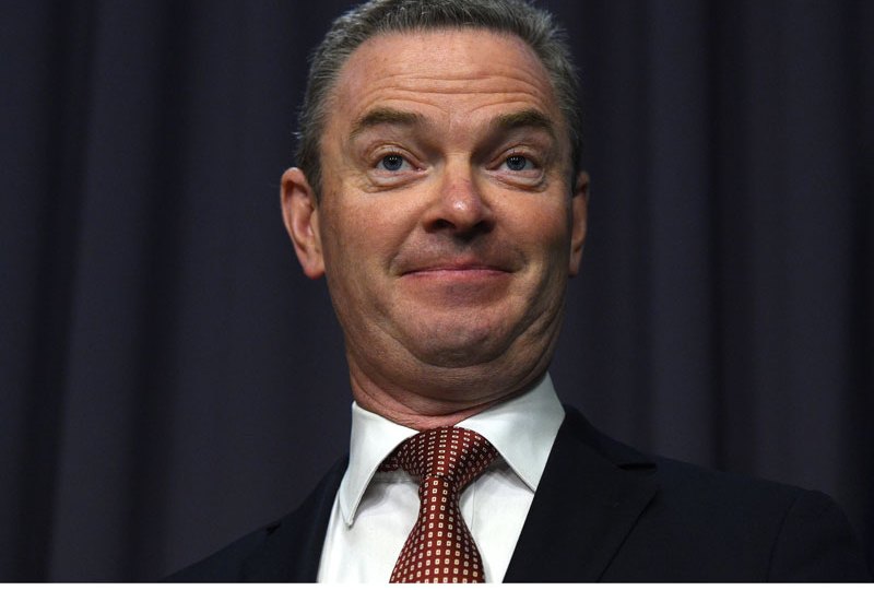 christopher pyne on tax cuts