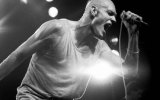 peter garrett