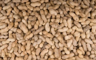 Allergy-free peanuts a step closer as researchers identify genetic code.