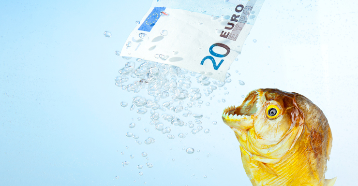 brexit piranha
