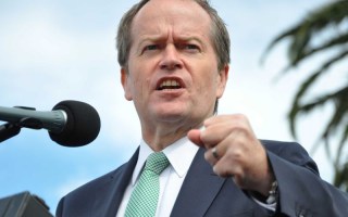 health policy shorten
