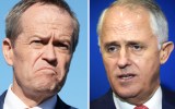 bill shorten malcolm turnbull