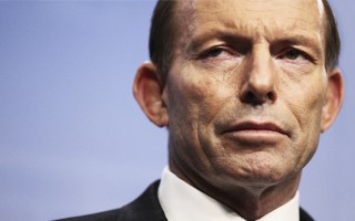 tony abbott