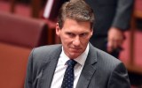 cory bernardi