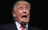 donald trump yelling shout