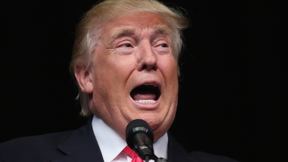 donald trump yelling shout