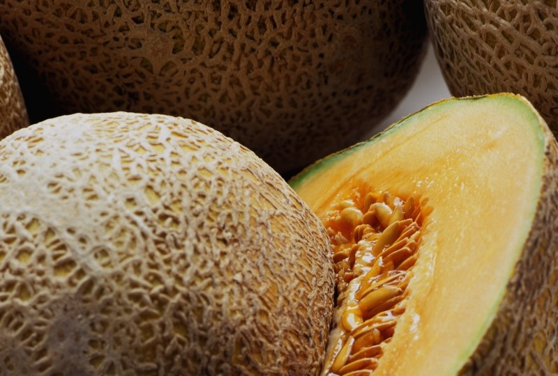 contaminated rockmelon