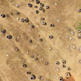 Plain of Jars in Laos