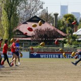 whitten oval bulldogs training