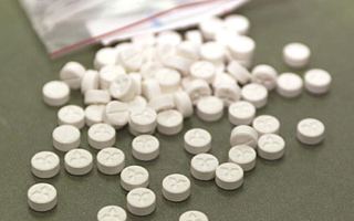 queensland pill testing