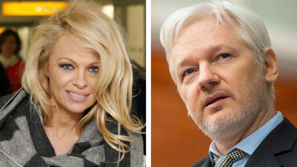 pamela anderson assange