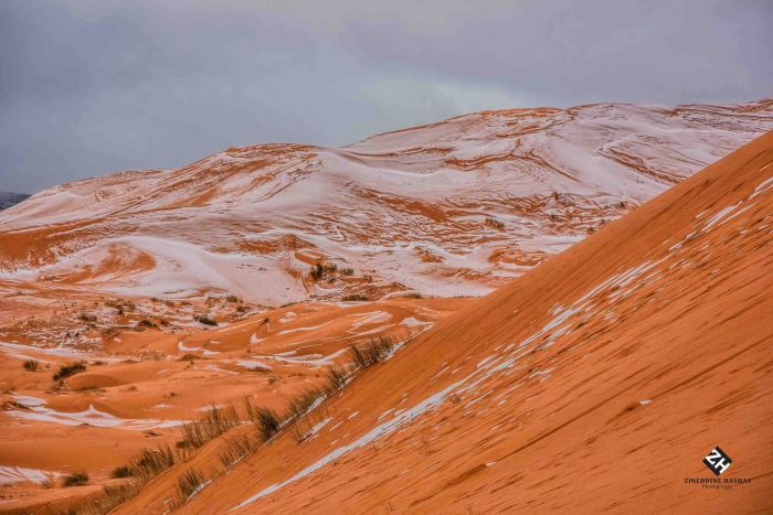 snow in Sahara