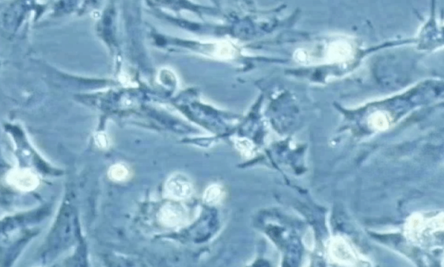 3D printer produces heart stem cells