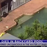 toddler drowning Sydney