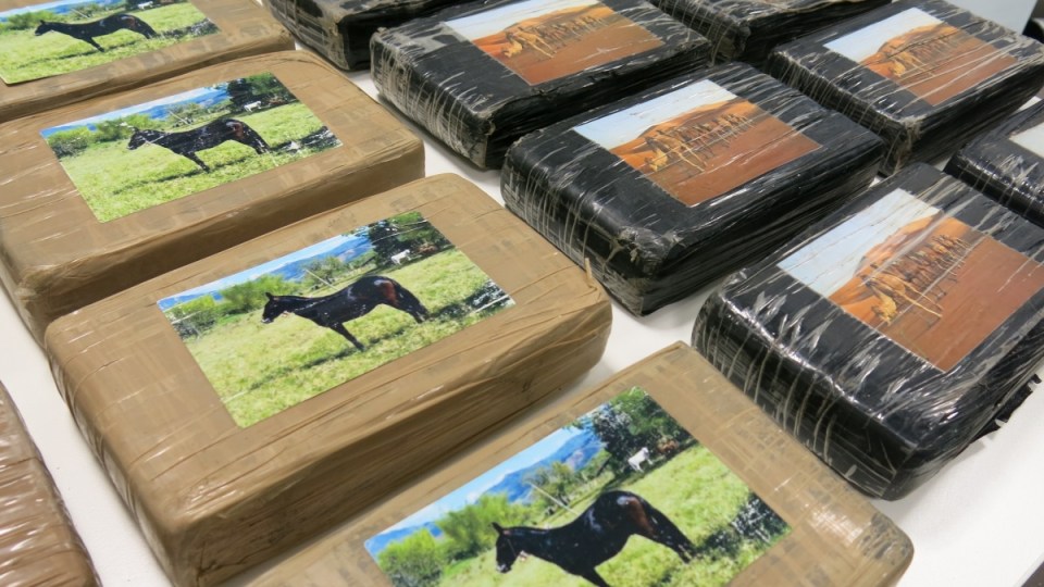 Victoria cocaine haul