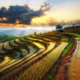 Real ethical investing.