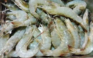 raw prawns