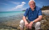 Sir David Attenborough