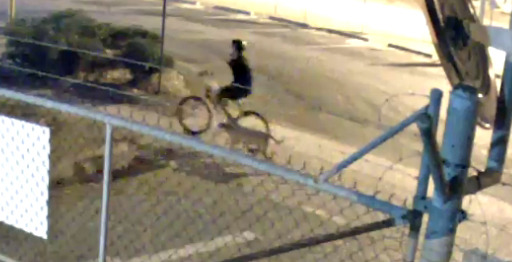 Polish nanny assault