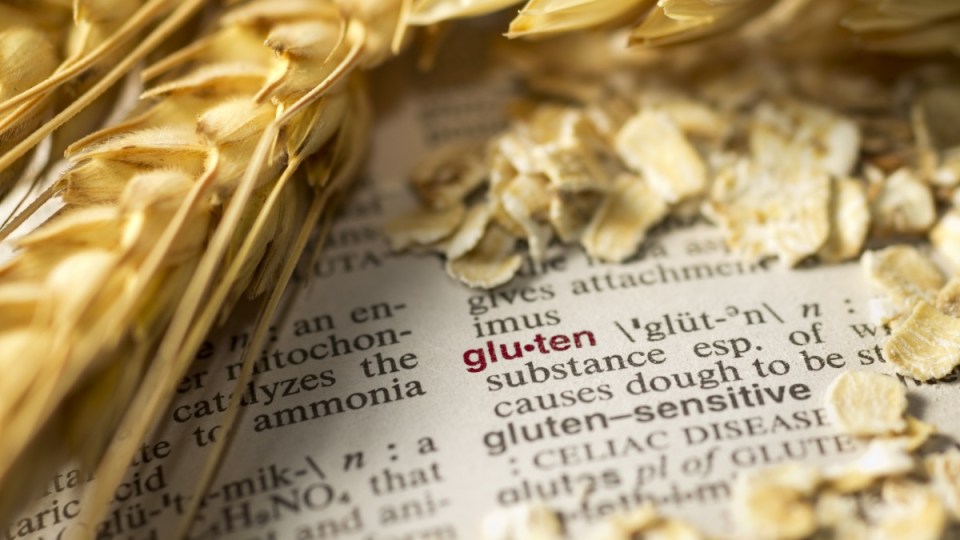 gluten